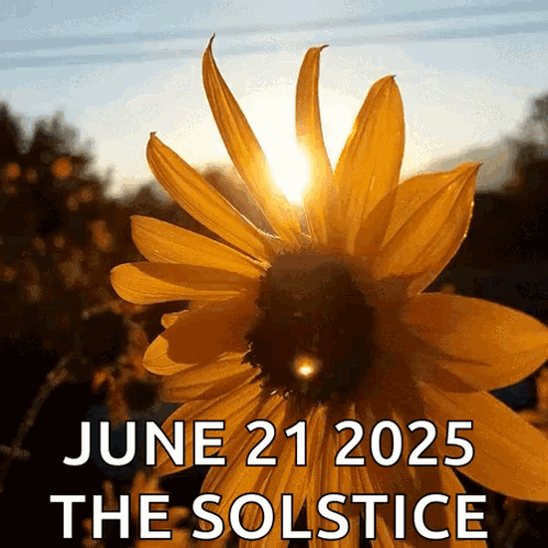 A Sunflower With The Words June 21 2025 The Solstice GIF
