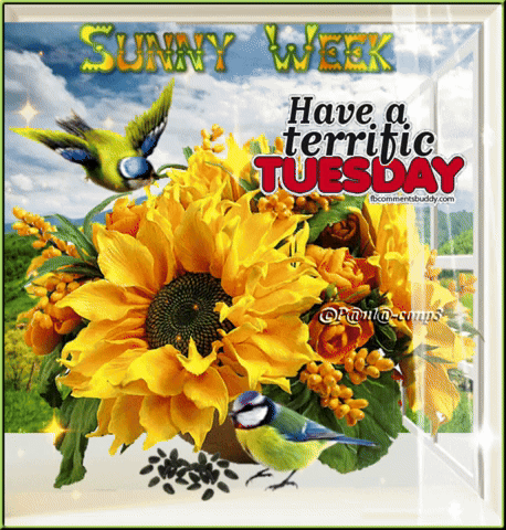 A Sunny Week Have A Terrific Tuesday Picture GIF