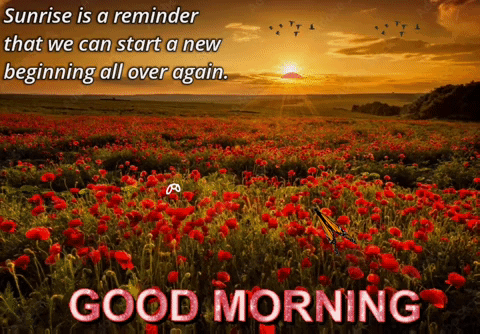 A Sunrise Is A Reminder That We Can Start A New Beginning All Over Again Good Morning GIF