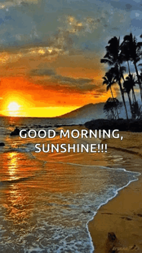 Sunset On Beach With Good Morning Sunshine GIF