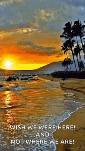 A Sunset On A Beach With The Words Wish We Were Here And Not Where We Are At The Bottom GIF