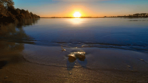 A Sunset Over A Body Of Water With A Few Trees In The Background GIF