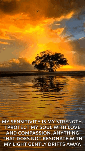 A Sunset Over A Body Of Water With A Tree In The Middle GIF