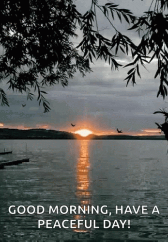 A Sunset Over A Lake With Birds Flying Over It GIF