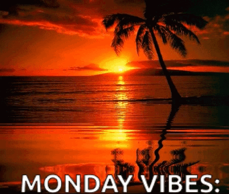 A Sunset Over The Ocean With A Palm Tree In The Foreground And The Words Monday Vibes GIF