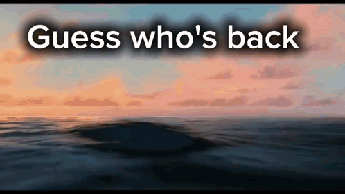 A Sunset Over The Ocean With The Words " Guess Who 'S Back " GIF