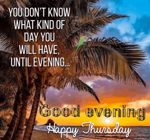 A Sunset With Palm Trees And The Words Good Evening Happy Thursday GIF