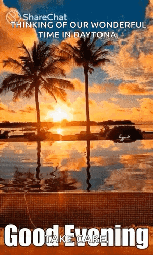 A Sunset With Palm Trees In The Foreground And The Words Good Evening GIF