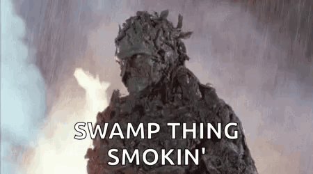a swamp thing is standing in front of a fire and says `` swamp thing smokin '' .