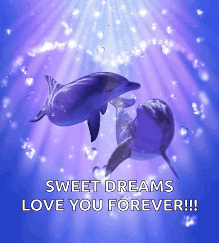 A Sweet Dreams Love You Forever Message With Two Dolphins In The Water GIF