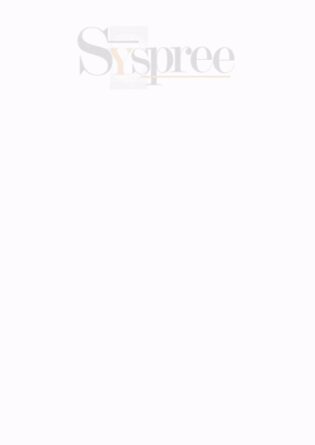 A Syspree Web Design Company In Mumbai Ad GIF