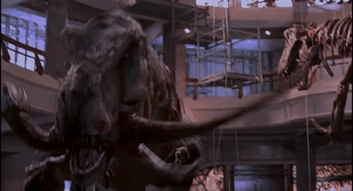 A T-Rex And A T-Rex Skeleton Are In A Museum GIF