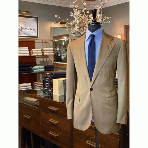 A Tan Suit With A Blue Tie Is On Display In A Store GIF