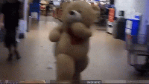 a teddy bear in a store with a sign that says adiue on it