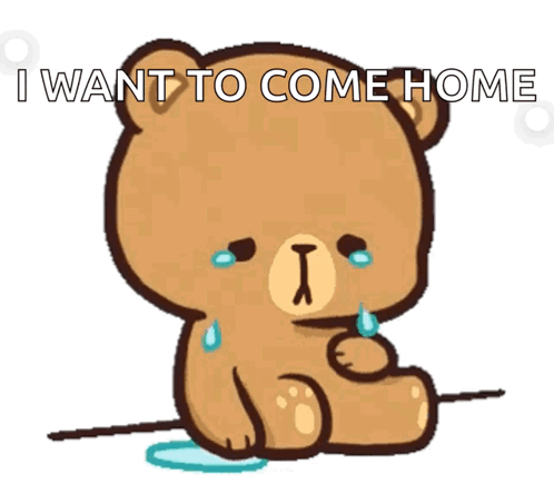 A Teddy Bear Is Crying With The Words I Want To Come Home GIF