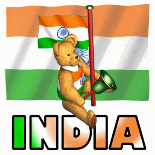 A Teddy Bear Is Holding A Flag In Front Of A Flag That Says India GIF
