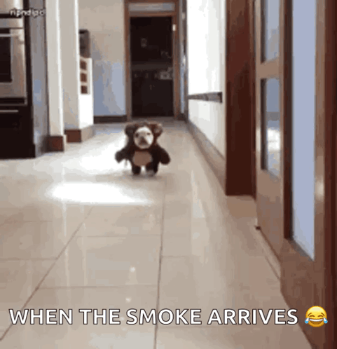 A Teddy Bear Is Running Down A Hallway With The Caption " When The Smoke Arrives " GIF
