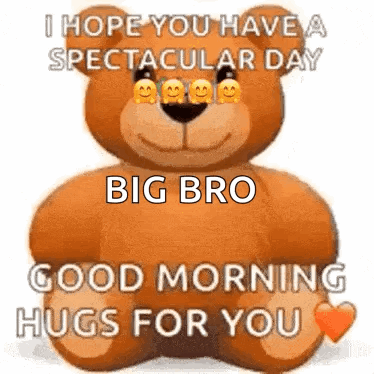 A Teddy Bear Is Sitting Down And Says `` I Hope You Have A Spectacular Day Big Bro Good Morning Hugs For You '' GIF