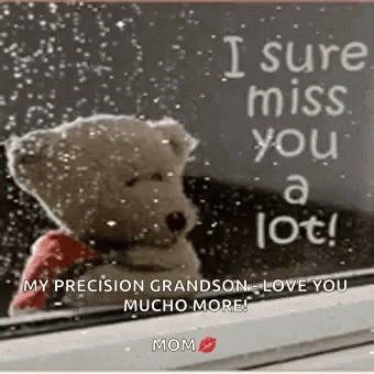 A Teddy Bear Is Sitting In Front Of A Window With A Sign That Says `` I Sure Miss You A Lot '' . GIF