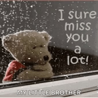 A Teddy Bear Is Sitting In Front Of A Window With A Sign That Says `` I Sure Miss You A Lot ! `` GIF