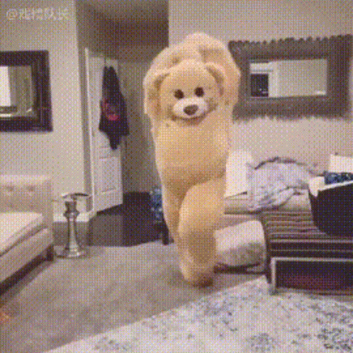 A Teddy Bear Is Standing In A Living Room With Its Arms Outstretched GIF