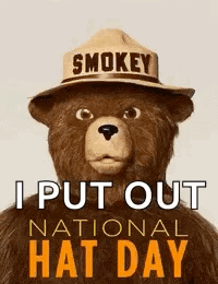 A Teddy Bear Is Wearing A Smokey Hat And Says I Put Out National Hat Day GIF