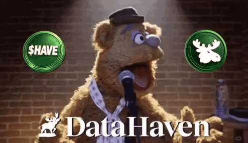 a teddy bear singing into a microphone with the words data haven on the bottom right