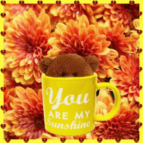 A Teddy Bear Sits In A Yellow Mug That Says You Are My Sunshine GIF