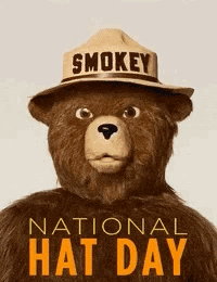 A Teddy Bear Wearing A Hat That Says Smokey GIF