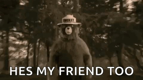 A Teddy Bear Wearing A Hat With The Words `` He 'S My Friend Too '' On It . GIF