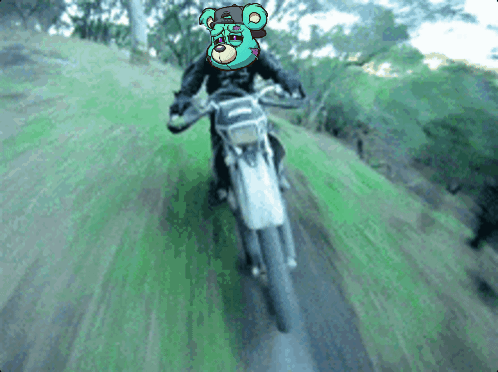 A Teddy Bear Wearing A Helmet Is Riding A Dirt Bike GIF
