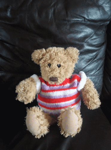 A Teddy Bear Wearing A Red And Purple Striped Sweater Sits On A Black Leather Couch GIF