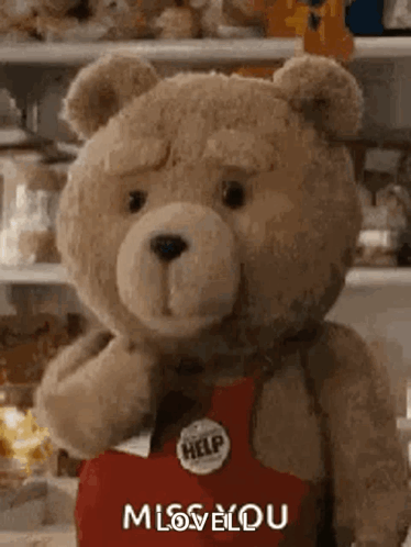 A Teddy Bear Wearing A Red Apron And A Button That Says `` Miss You '' Is Standing In A Store . GIF