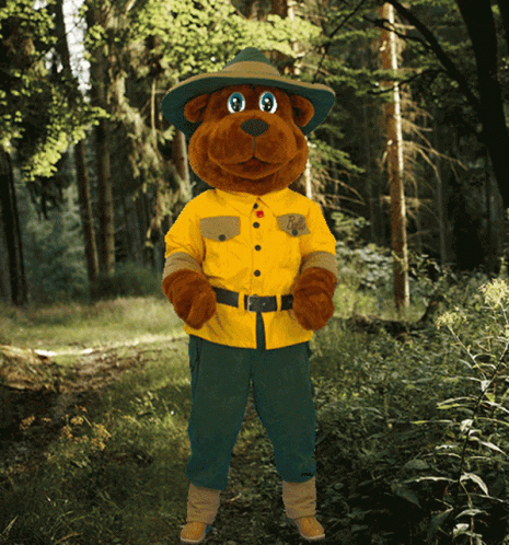 A Teddy Bear Wearing A Yellow Shirt And Green Pants GIF