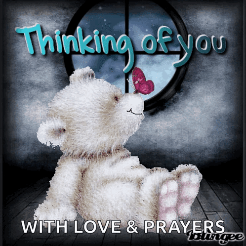 A Teddy Bear With A Butterfly On Its Nose Says Thinking Of You GIF