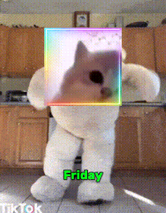 A Teddy Bear With A Picture Of A Cat On It And The Words Friday GIF