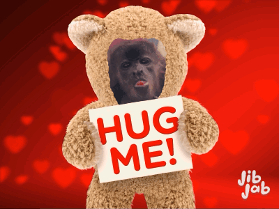 A Teddy Bear With A Picture Of A Man On It Holding A Sign That Says Hug Me GIF