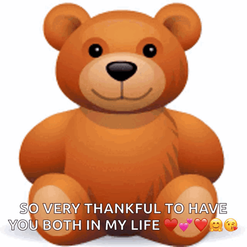 A Teddy Bear With Hearts On Its Paws And The Words So Very Thankful To Have You Both In My Life Below It GIF