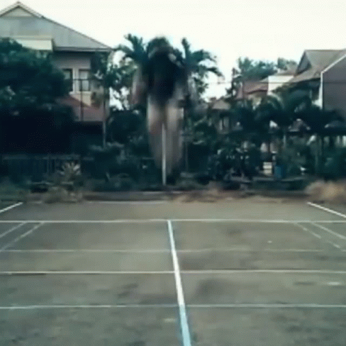 A Tennis Court With Palm Trees In The Background And Houses In The Background GIF
