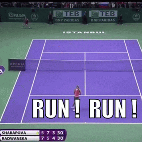 A Tennis Match Between Sharapova And Radwanska Is Underway GIF