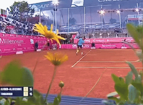 A Tennis Match Is Being Played In Front Of A Millennium Stadium GIF