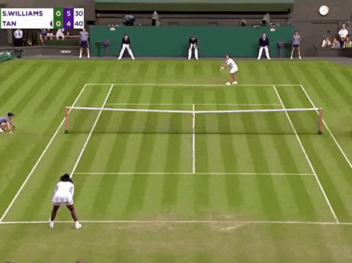 A Tennis Player Stands On A Court With A Scoreboard That Says S.williams Tan GIF
