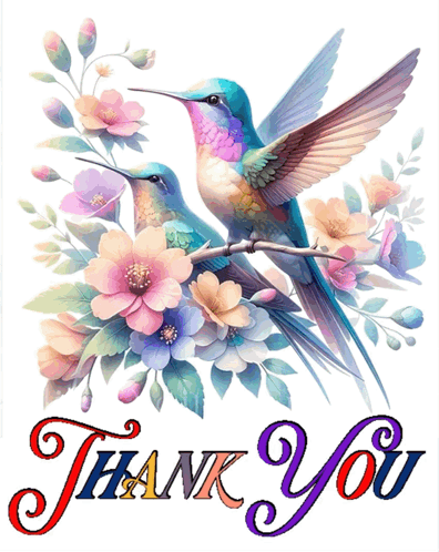 A Thank You Card With A Hummingbird On A Branch GIF