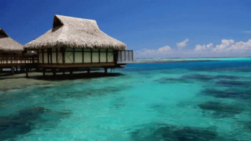 A Thatched Hut Sits In The Middle Of A Body Of Water GIF