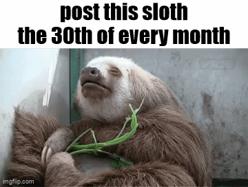 A Three Toed Sloth Is Eating A Green Plant While Laying Down . GIF
