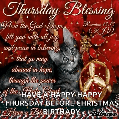 A Thursday Blessing With A Cat And Christmas Decorations GIF
