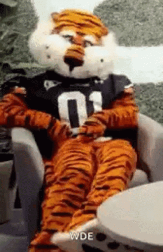 A Tiger Mascot Is Sitting In A Chair Wearing A Jersey . GIF