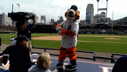 A Tiger Mascot Stands On A Baseball Field With A Cameraman Behind Him GIF