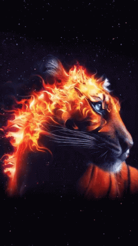 A Tiger 'S Head Is Covered In Flames On A Black Background GIF