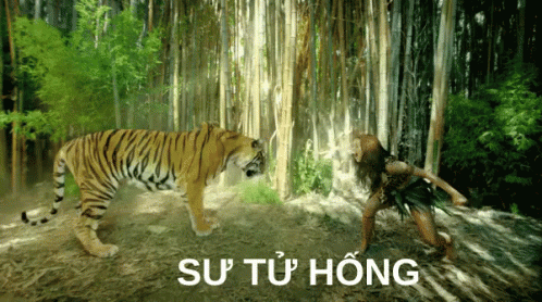 A Tiger Standing Next To A Woman In A Forest With The Words Su Tu Hong Above It GIF